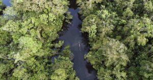 Isolated Amazon Tribe Spotted Near Village as Logging Encroaches, Experts Raise Alarm Arial view of section of Amazon rainforest