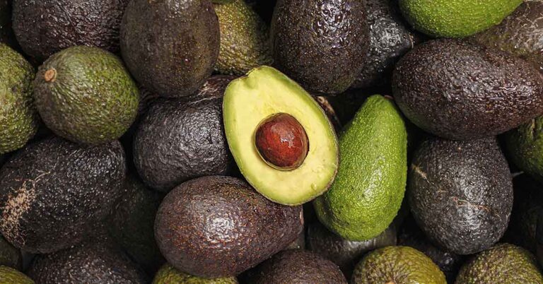 20 Reasons Avocados Are Truly a Superfood - Featured image