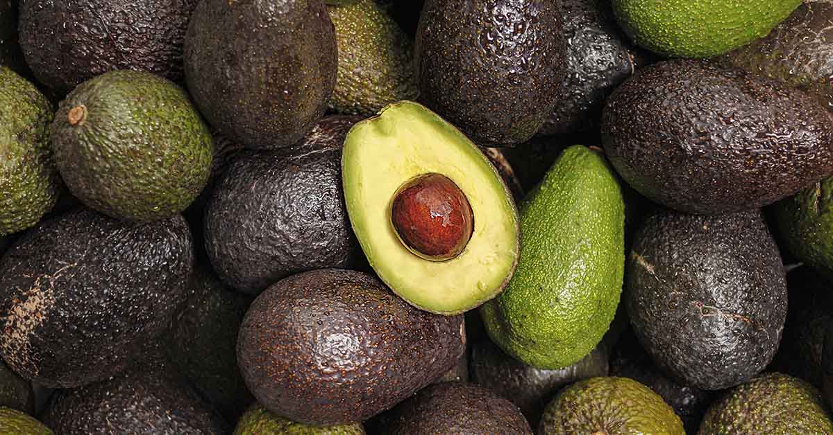 20 Reasons Avocados Are Truly a Superfood