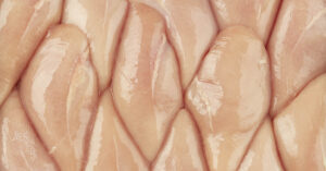 Raw chicken breasts