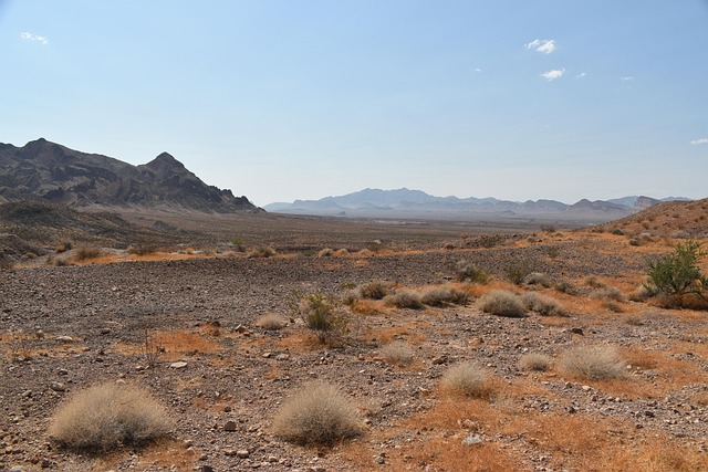 Nevada desert