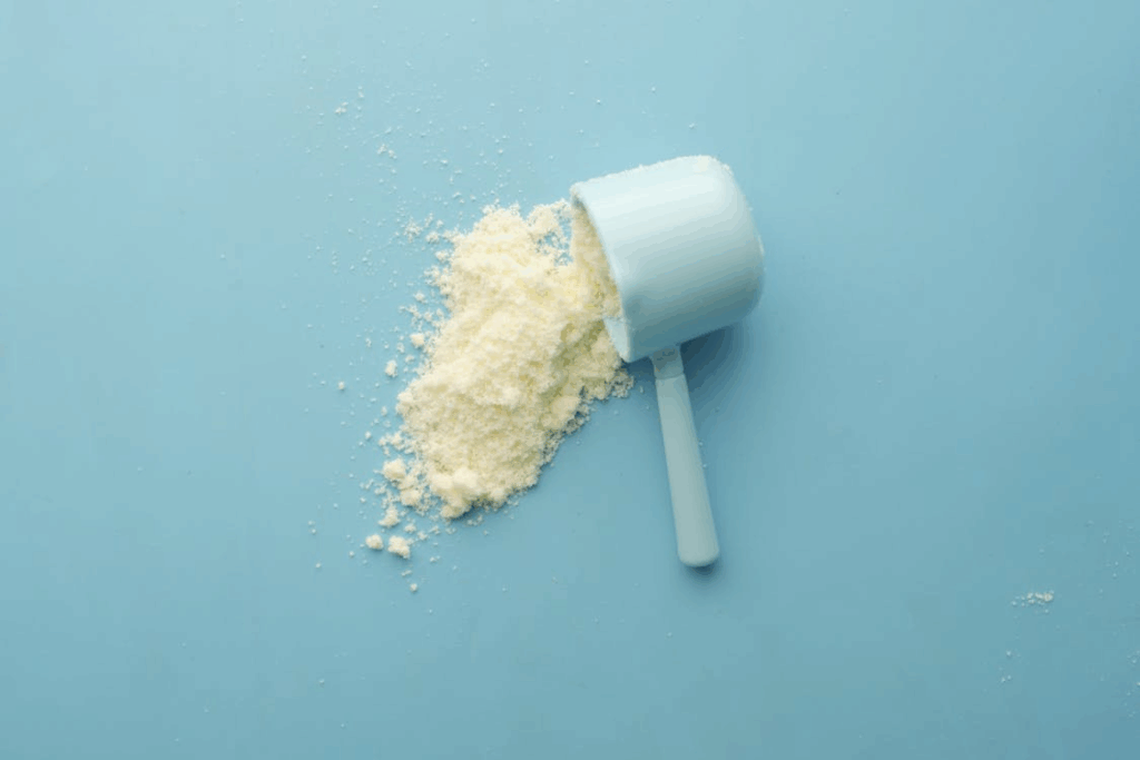 protein powder