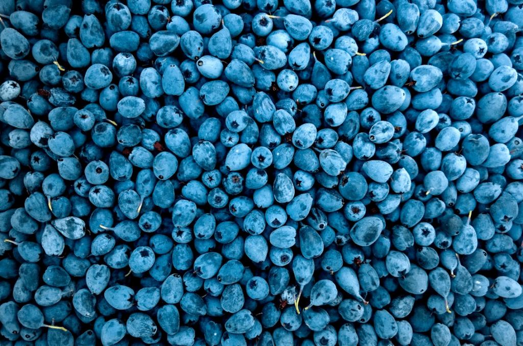 Blueberries
