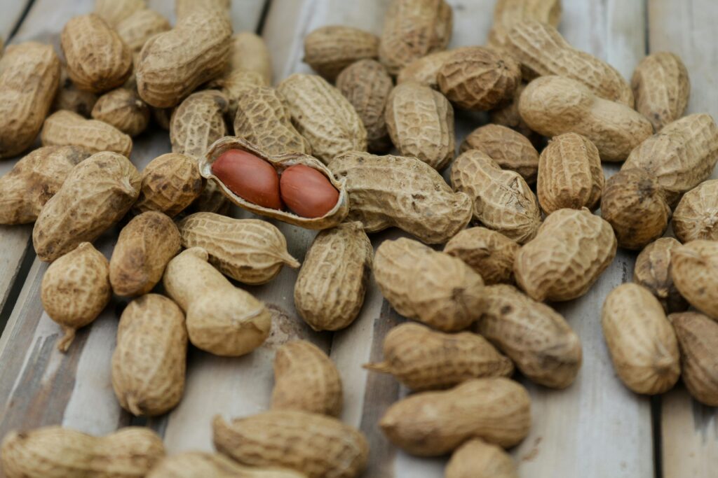 Close Up Photo of Peanuts
