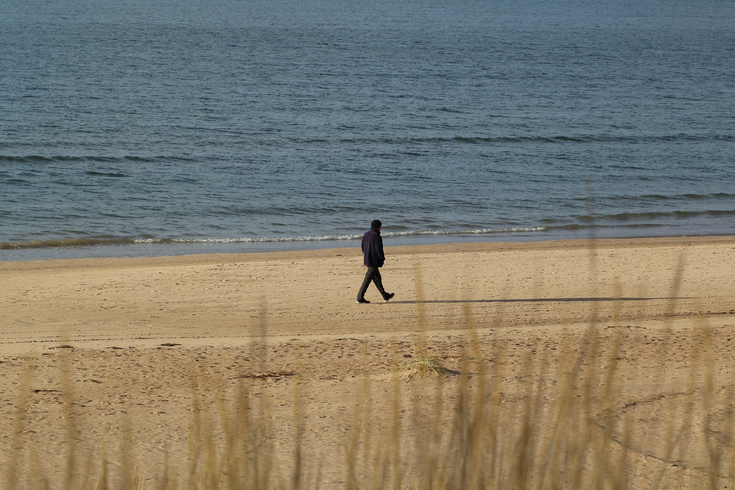 A person walks on the sea alone