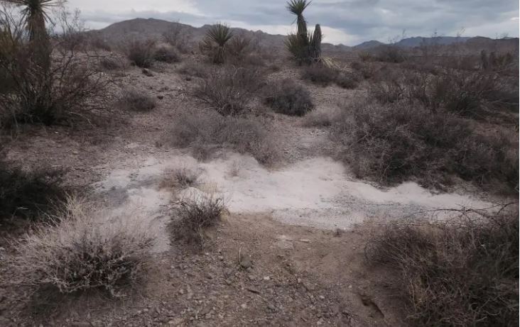 human creamted remains in desert