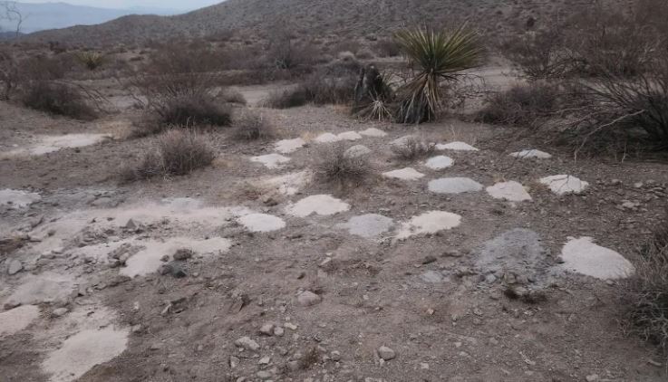 piles of remains in Nevada
