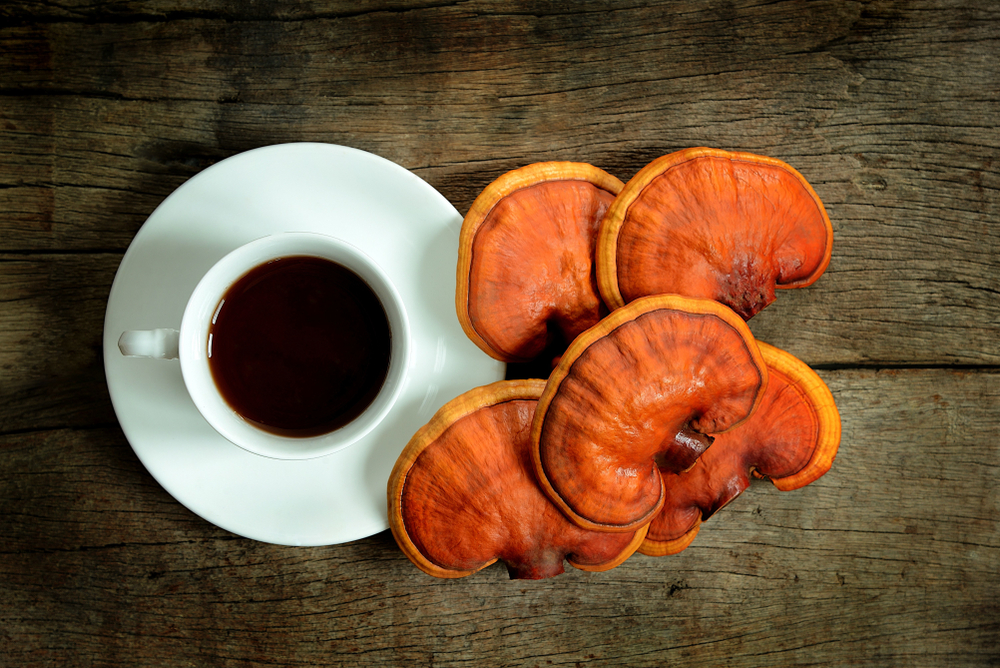 Cup of reishi tea and fresh Lingzhi mushroom on dark wooden floor. (Ganoderma Lucidum). Chinese traditional medicine and nutritive value.