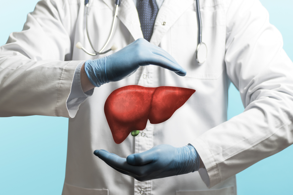 Image of a doctor in a white coat and liver above his hands. Concept of healthy liver and donation.