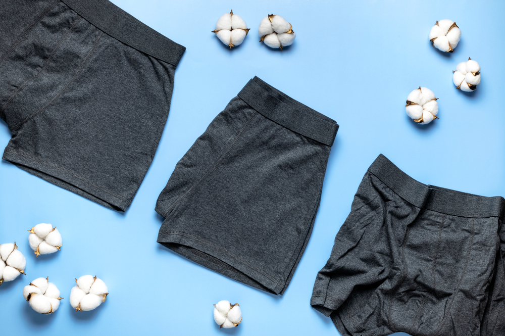 Men's underwear, gray underpants and cotton flowers on blue background. Natural fabric concept, eco style. Flat lay top view copy space. Fashion underwear, advertising, shopping. Pants boxers