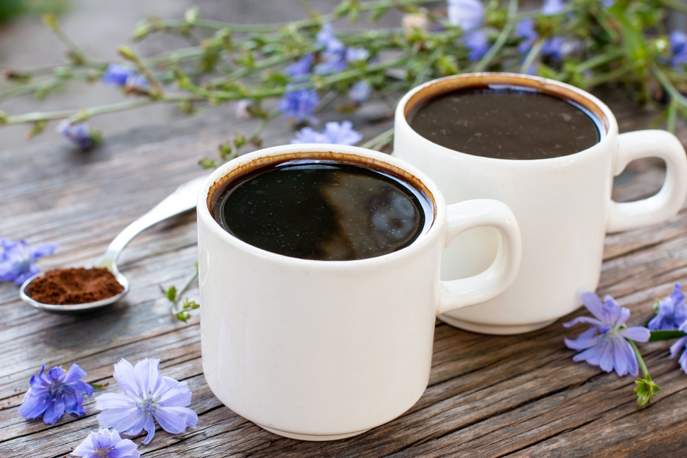 Food to drink chicory in a cup - instead of coffee, powder and crumble. Herbal drink. Selective focus