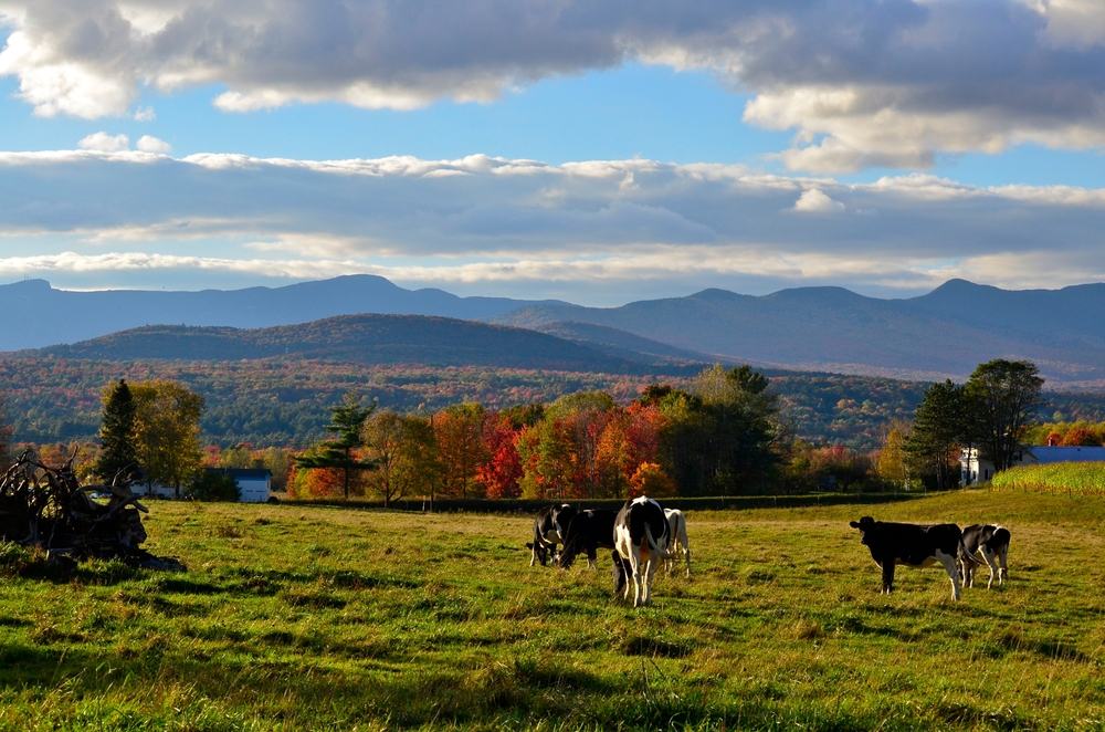  Scenic view in shelburne, Vermont 