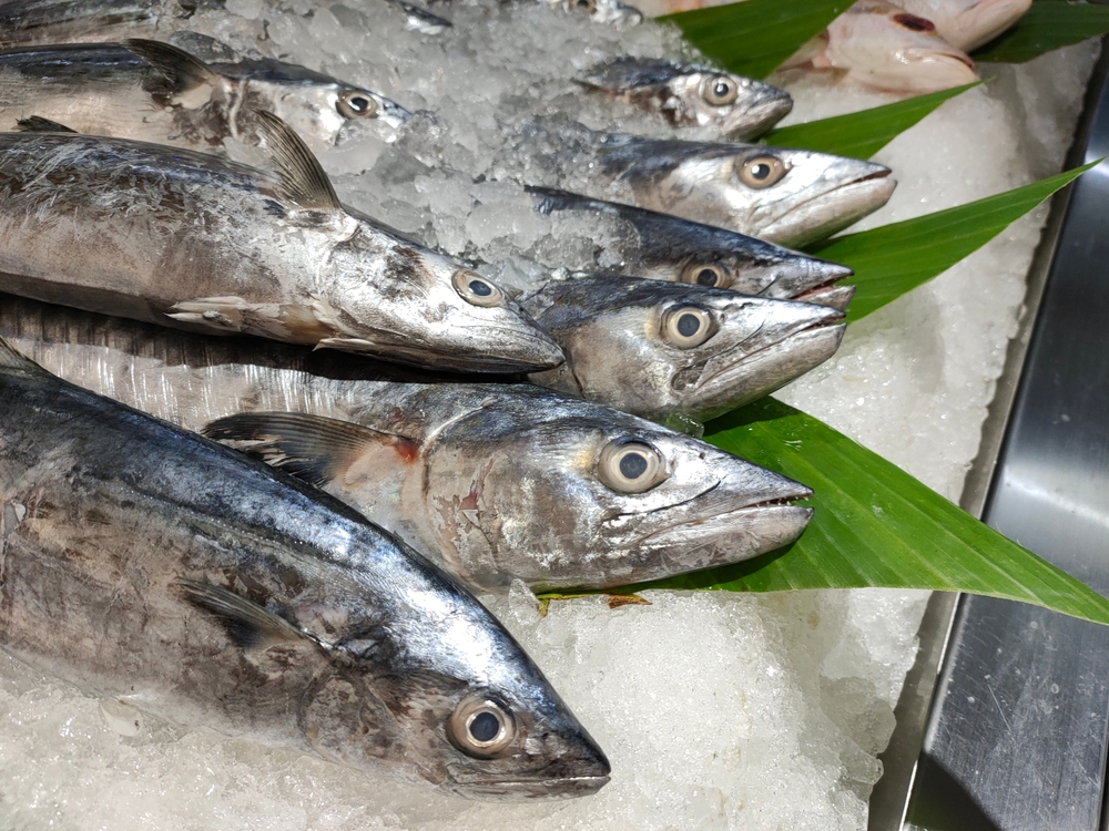 Ikan tenggiri, Spanish mackerels, Scomberomorus commerson on supermarket. Fish background.