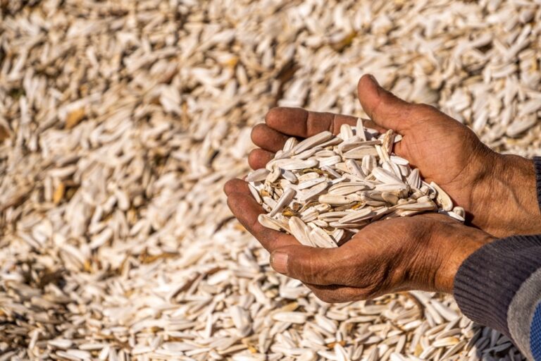 11 Muscle-Building, Fat-Burning Superfoods You Should Add Now - Featured image