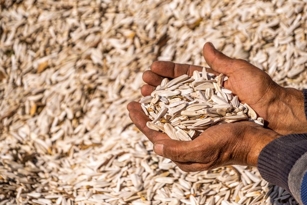 11 to build muscle, superfoods that burn fat you should add now