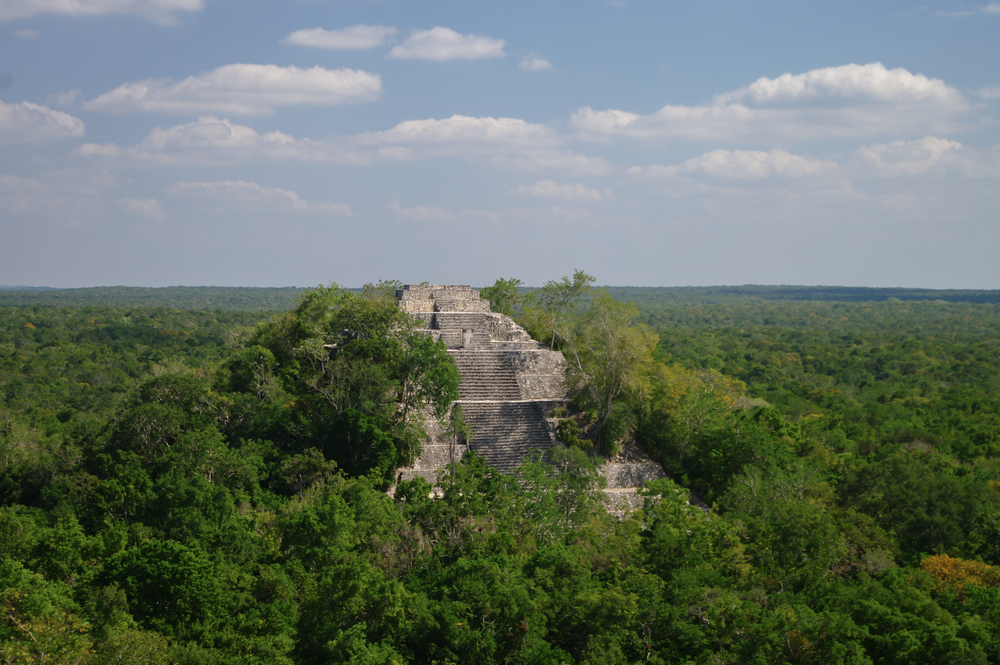 Mayan ruins. The pyramid structure of 1 in the complex rises over the jungle of Calakmul, Campeche state, Mexico. No people.