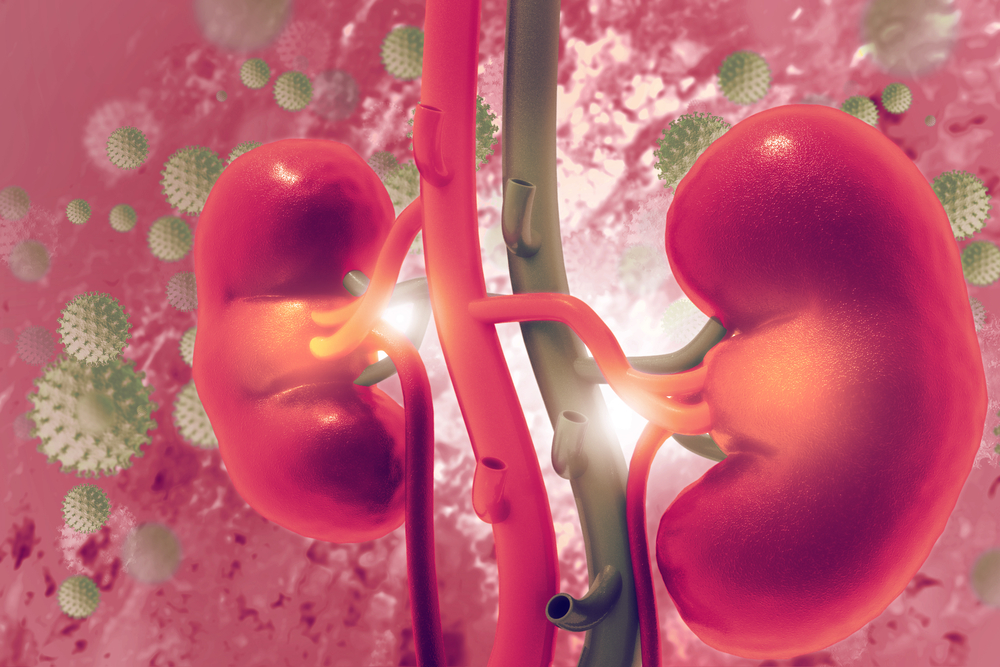 9 Everyday Choices That Could Lead to Kidney Problems