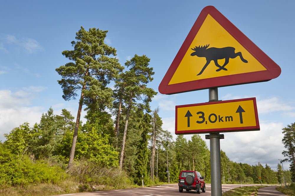 Elk moose traffic road signal on a finnish landscape. Finland