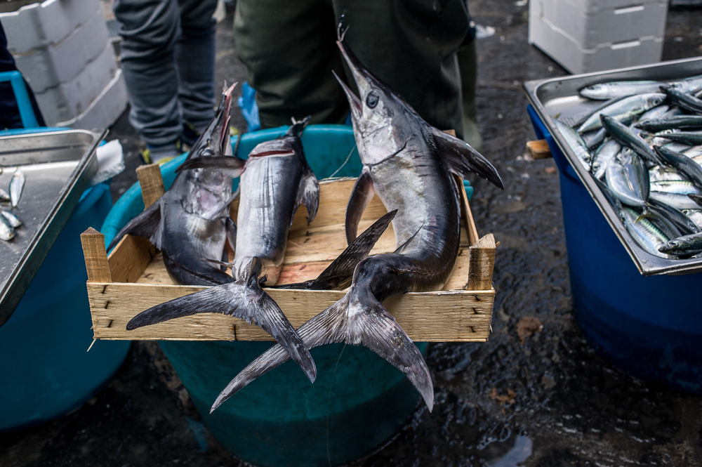 Seafood at the fish market in Catania, Sicily