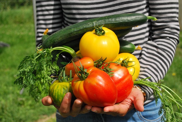 Vegetables contain phytochemicals, folate, and fiber that can help reduce colon cancer risk