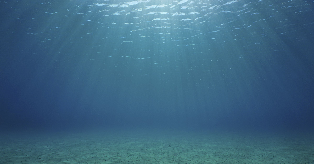 Scientists Find Strange Rings Surrounding 500,000 Seafloor Barrels – And No One Knows Why