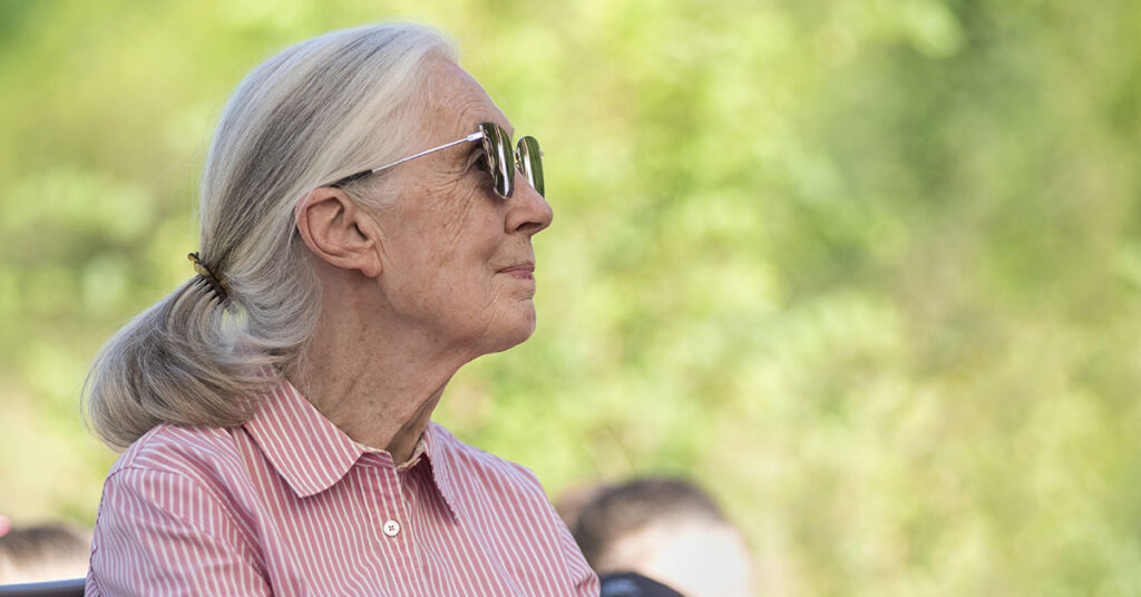 World Mourns Jane Goodall: Details Emerge About Her Passing - Featured image