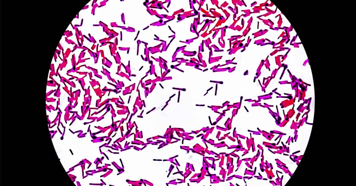 How a Bowl of Soup Left a Woman Paralyzed, Near Death — and Buried in Medical Debt