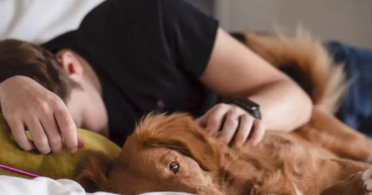 A psychologist reveals the real reason everyone is tired lately A psychologist reveals the real reason everyone is tired lately