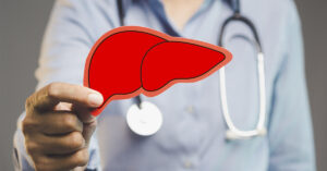 Doctor hold up red cut out representation of a liver. Liver health concept
