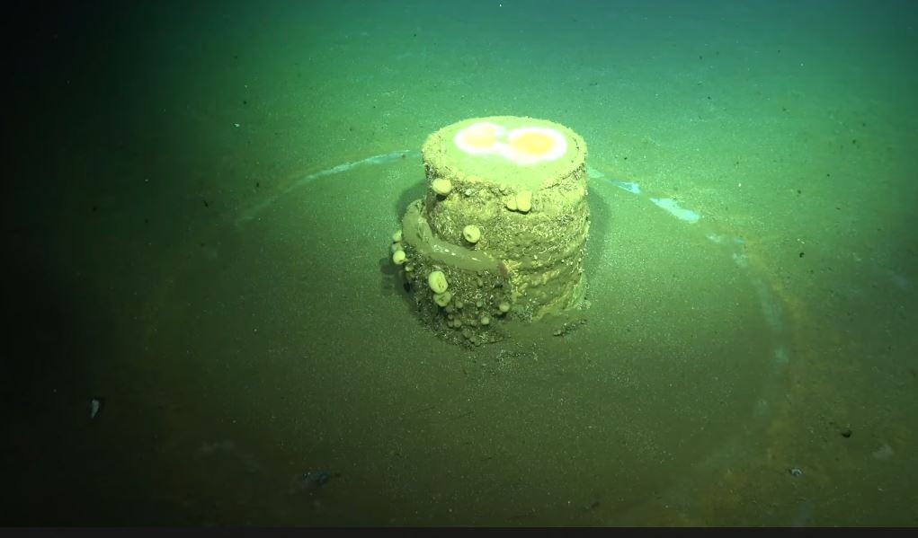 a barrel leaking toxic chemicals