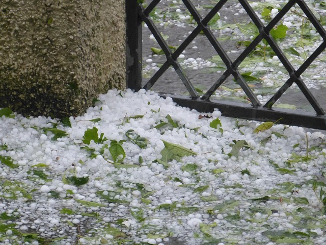 hail on the ground next to a fence