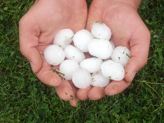 a hand holding hailstones.