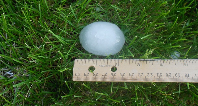 hailstone next to a ruler.