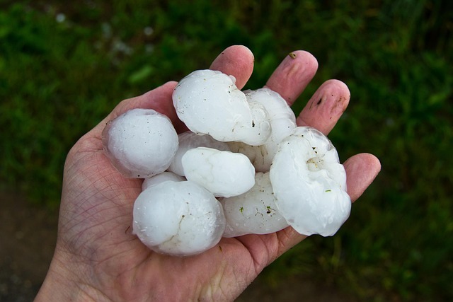 a handful of hailstones