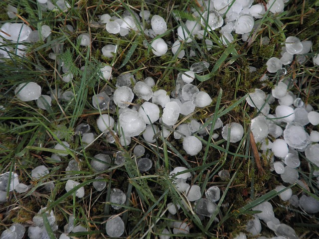 hail on the ground