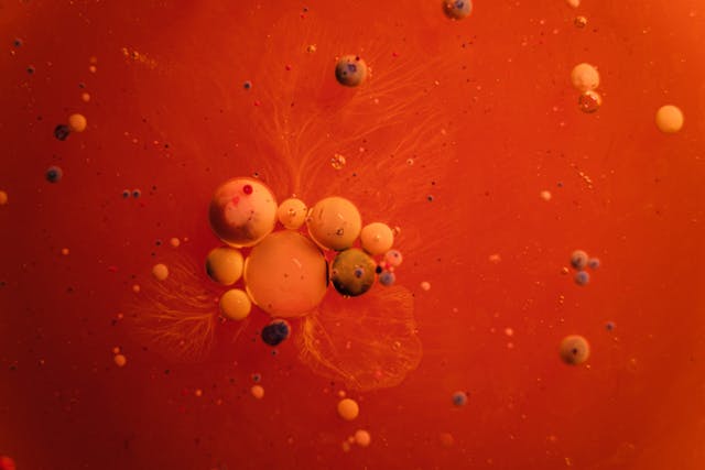 cells in red lliquid