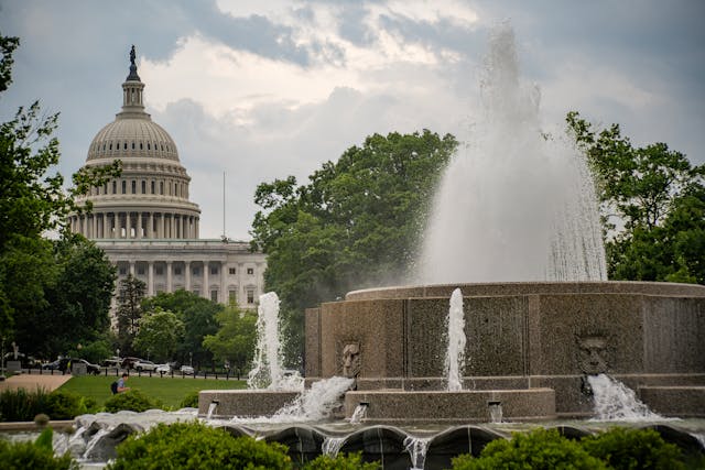 Capitol in Washington DC