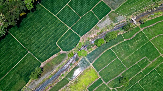 bird's eye view of farm land. 