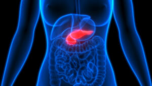 Pancreatic Cancer Risk Factors: What the Latest Research Actually Shows Human,Pancreas,Anatomy.,3d