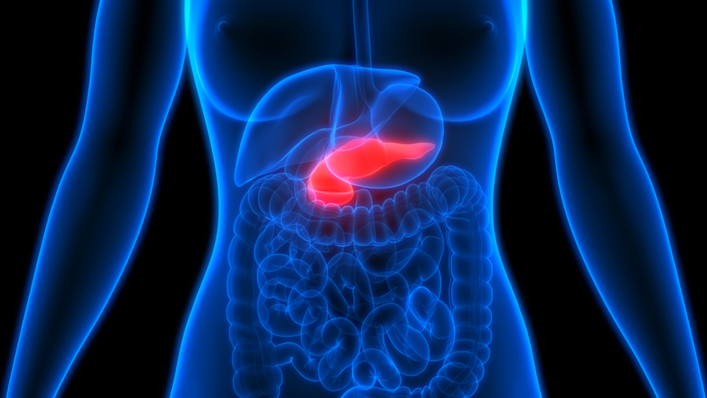 An inflamed pancreas in the human body.