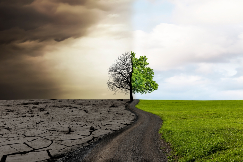 Change from dry weather to fertile weather