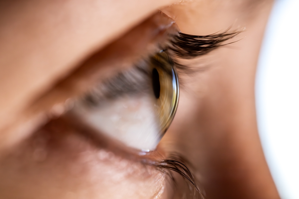 Macro view of a woman's eye, cornea and eyelashes