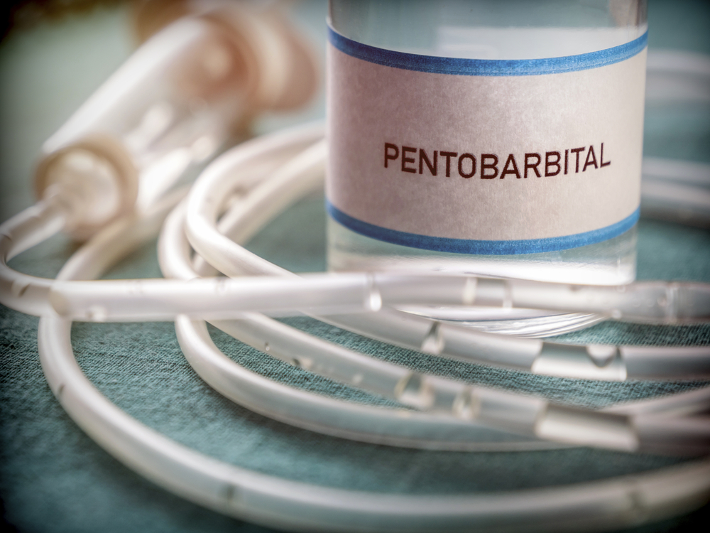 Vial with Pentobarbital used for euthanasia and lethal injection in hospital