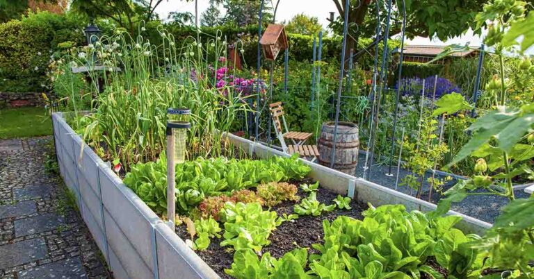 Spot Slug and Snail Eggs Early to Protect Your Garden - Featured image