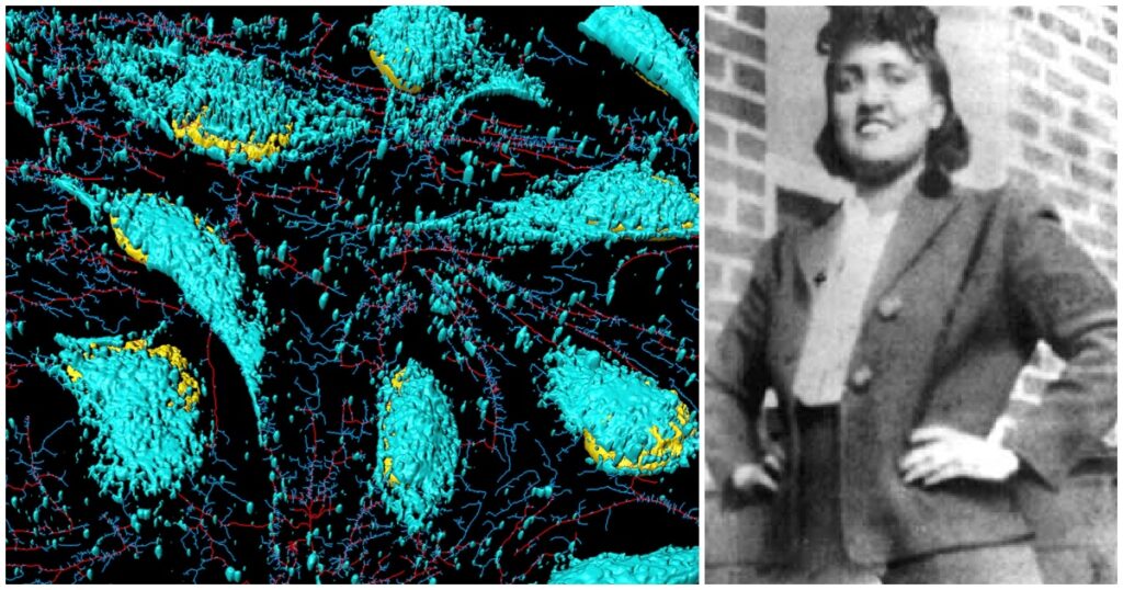 The Story of Henrietta Lacks: How a Medical Miracle Was Born from Injustice - Featured image
