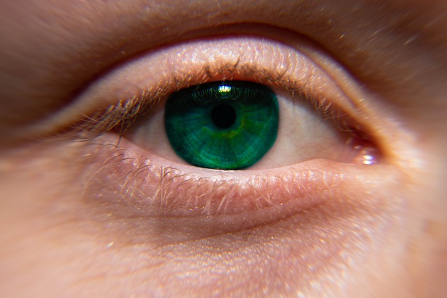 close up of green eye