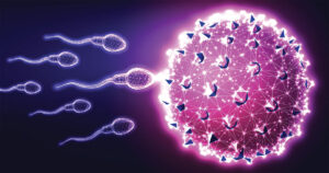 sperm fertilizing egg