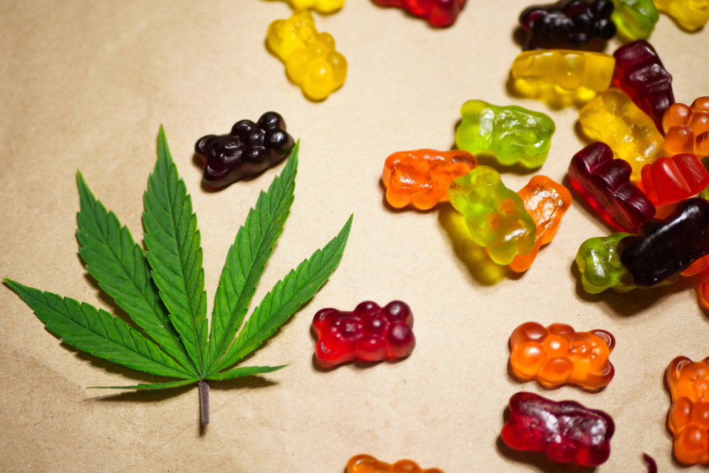 Cannabis infused gummy bears. Medical CBD candies. Mixed colors. Marijuana leaf. Alternative medicine. Anxiety therapy.