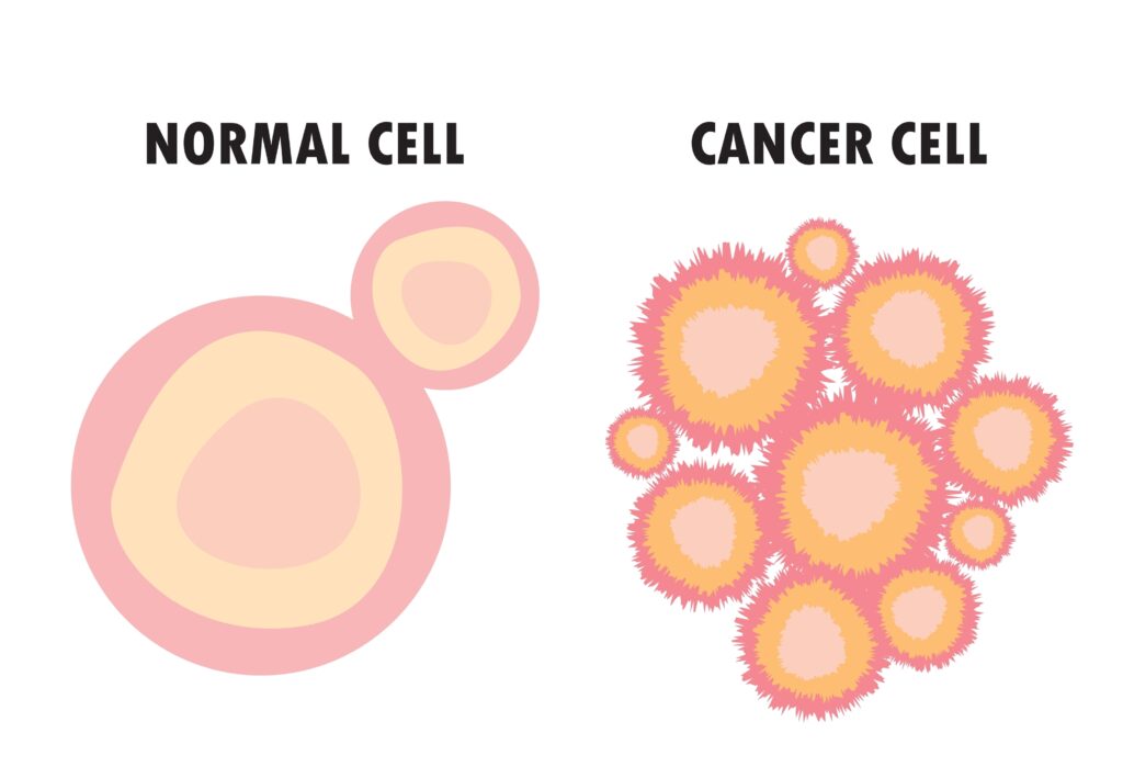 Normal Cell vs Cancer Cell, Loss of normal growth control of cell , healthy tissue and tumor, vector illustration.