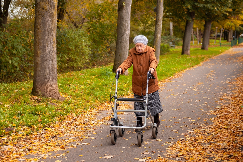 Elderly woman talking a walk through the park with fallen autumn leaves with help of walker aid